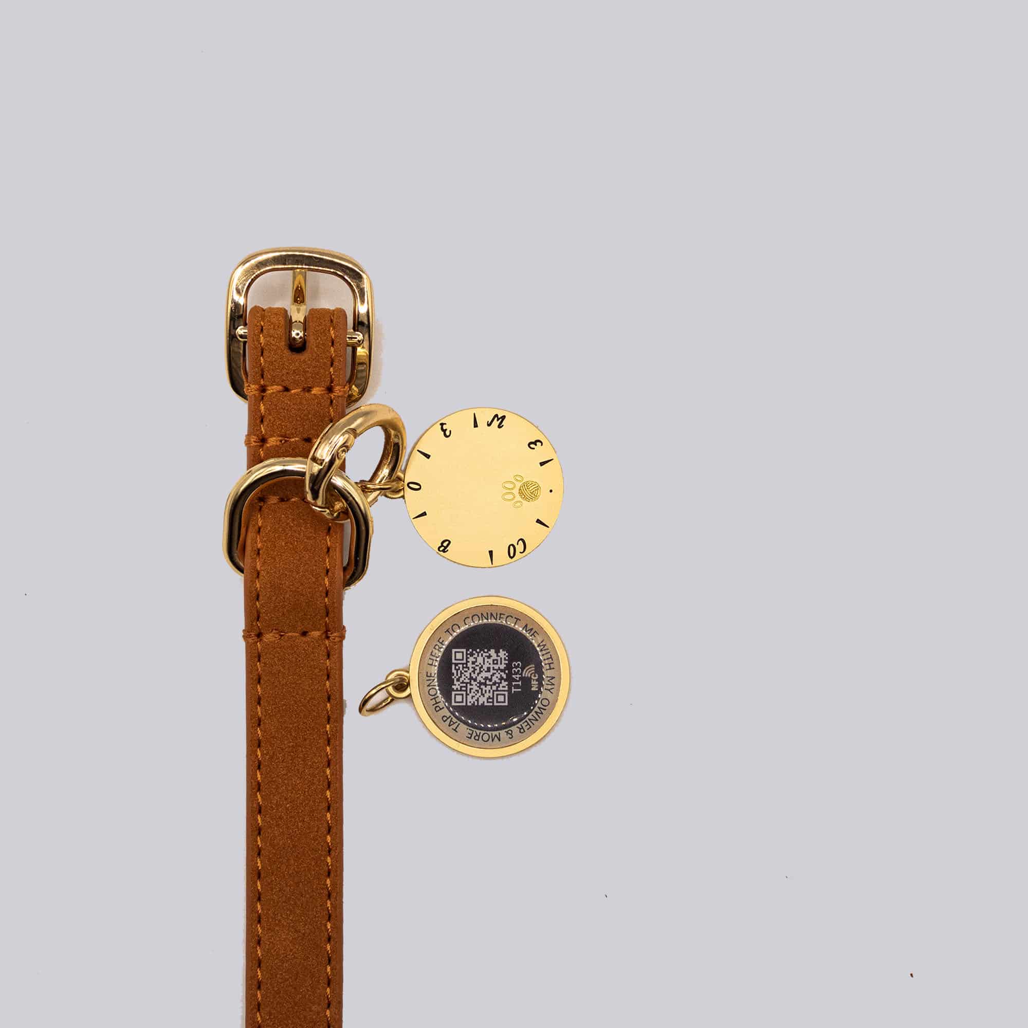 Flâneur Collar Walk Kit - Image 7
