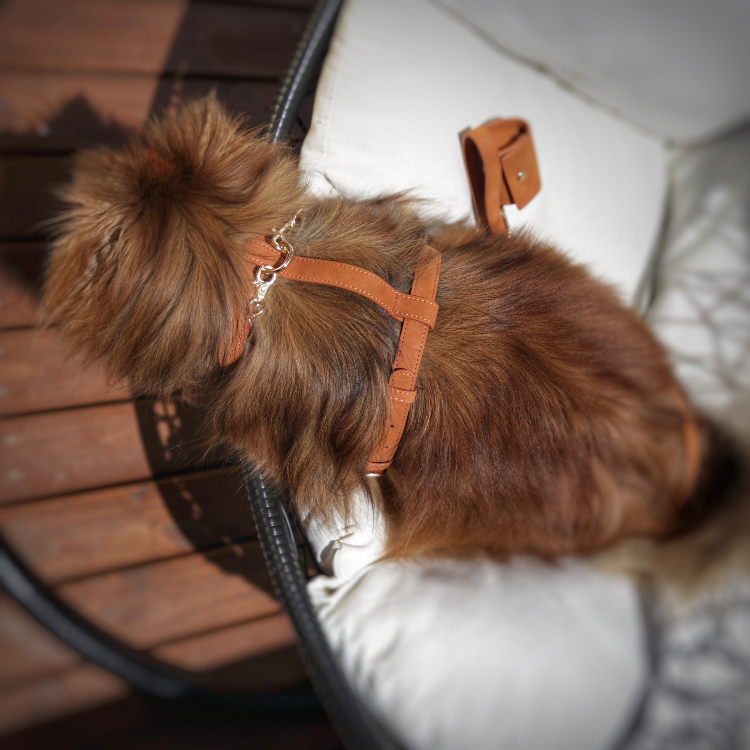 Flâneur Handcrafted Dog Harness - Image 5