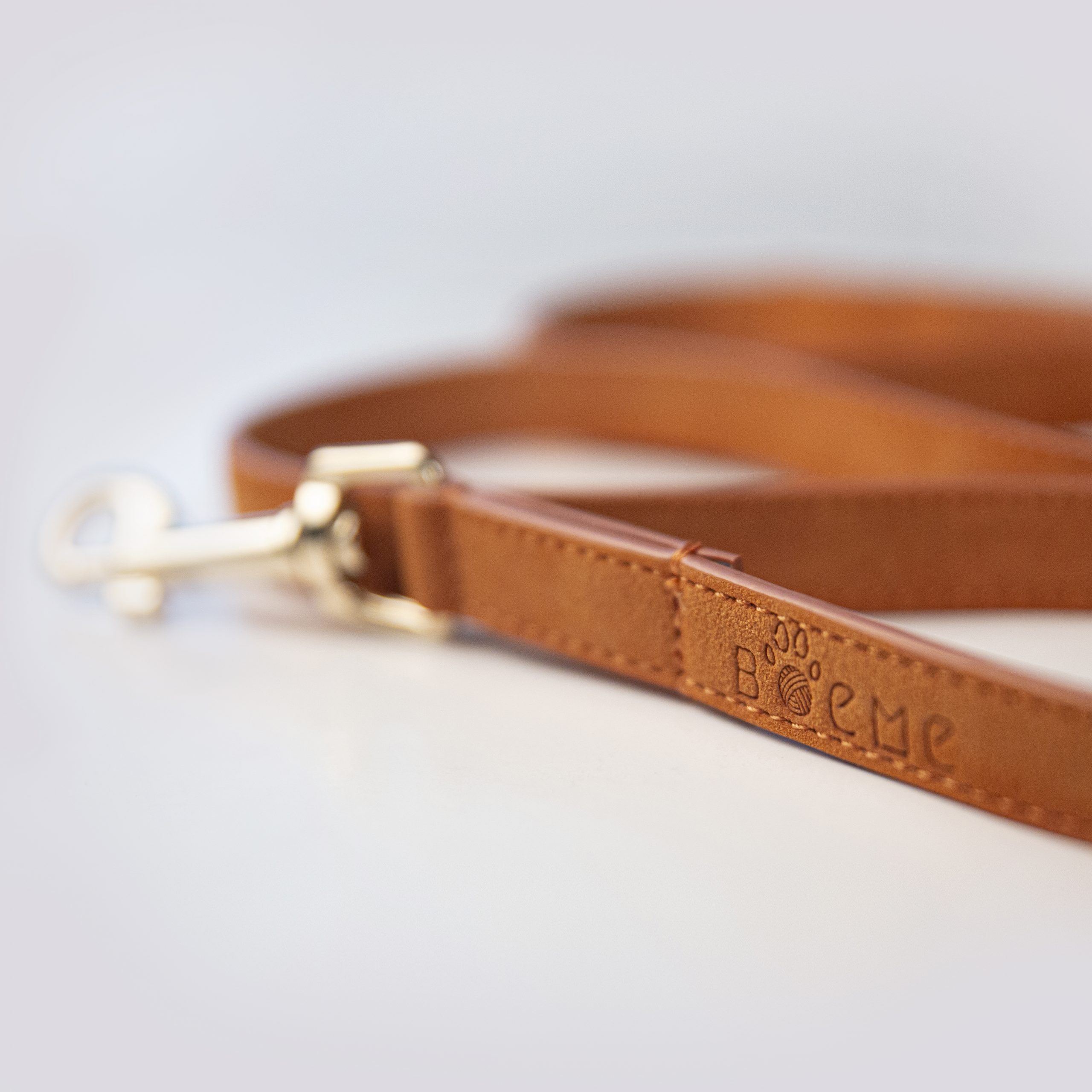 Flâneur Collar Walk Kit - Image 6