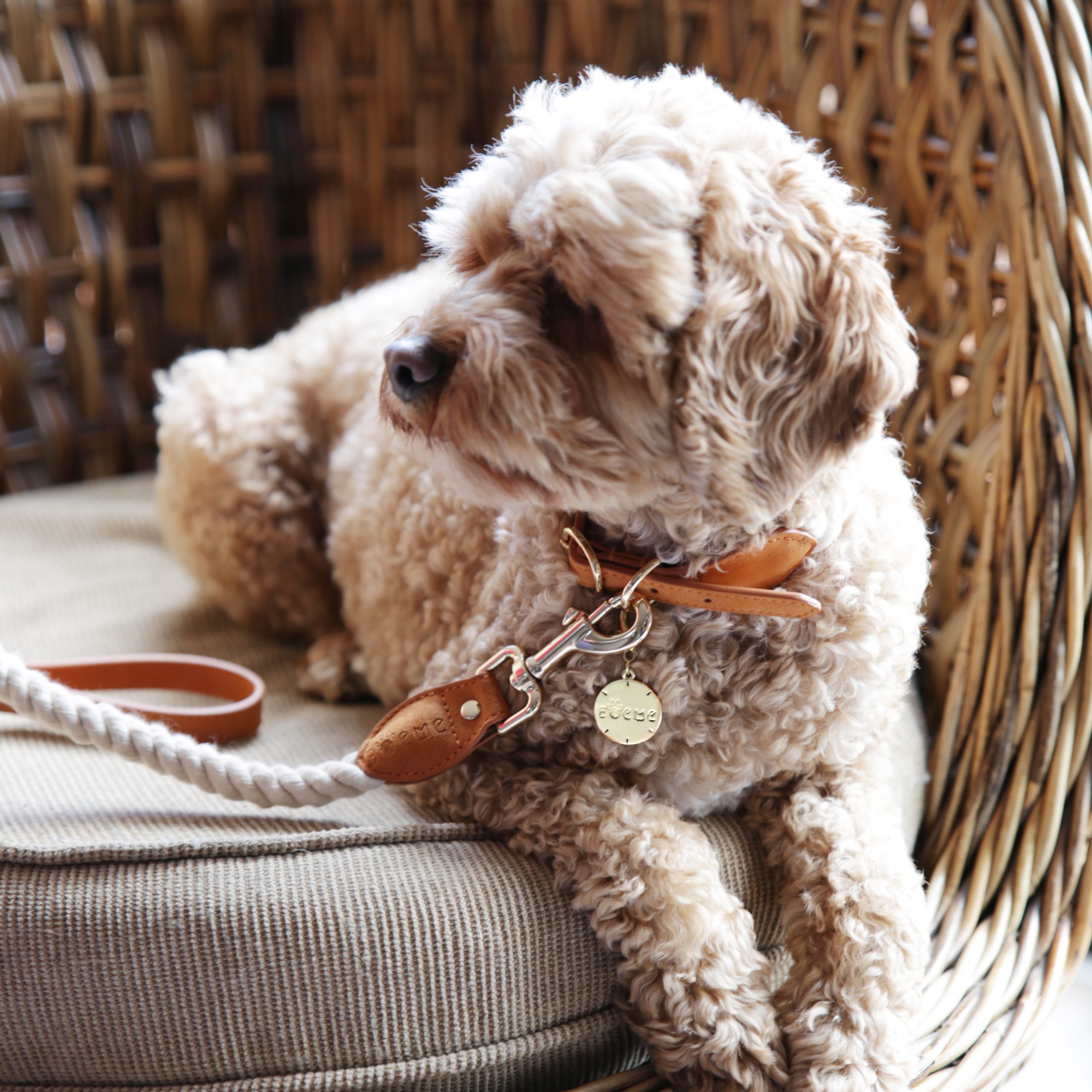 Le Nuage Handcrafted Rope Collar - Image 4