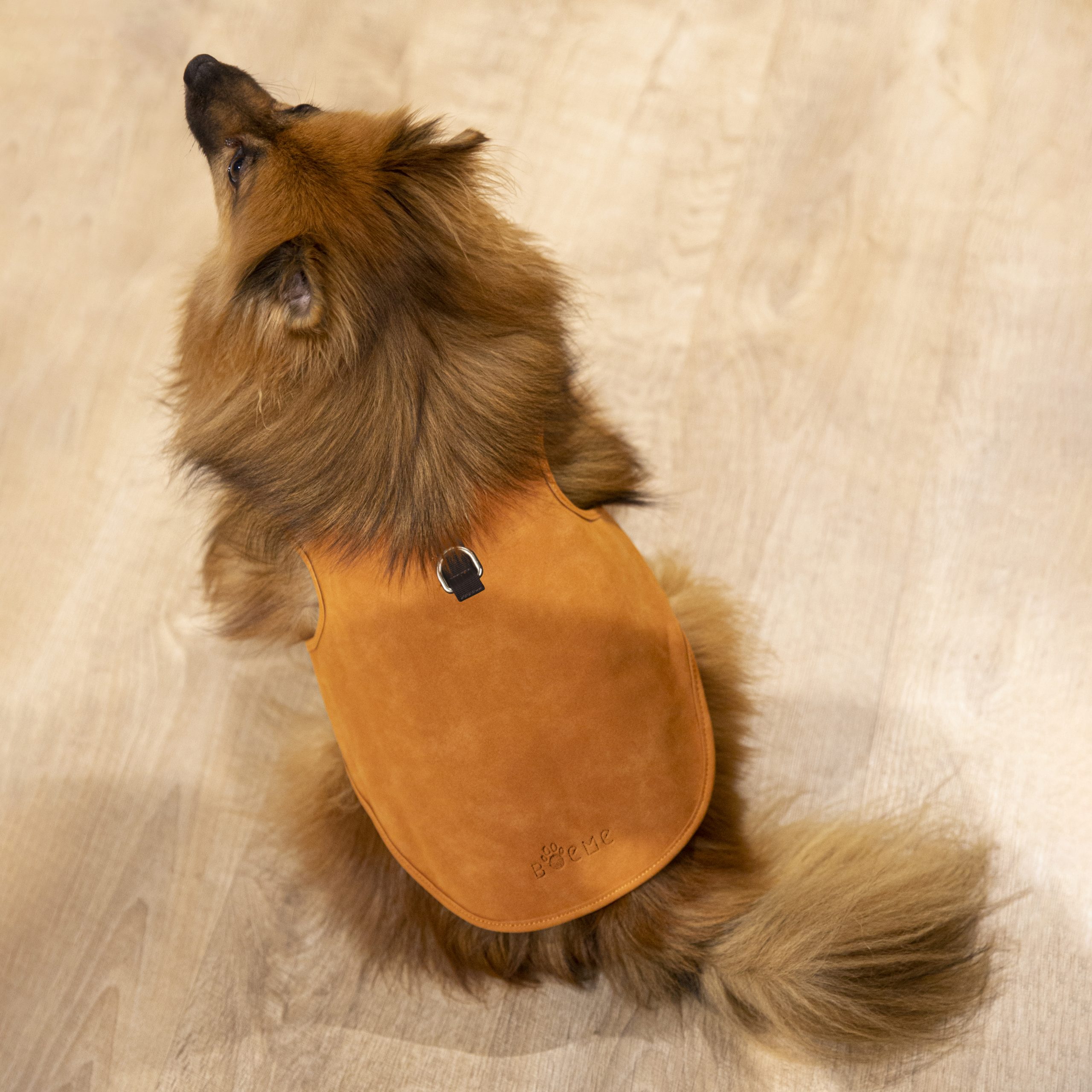 Réversibilité Jacket - Image 5