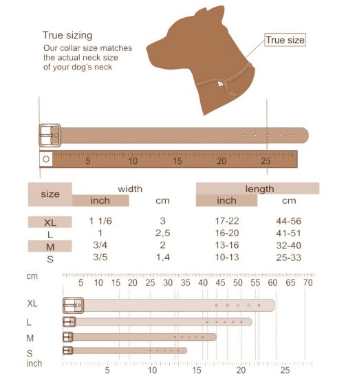 collar size