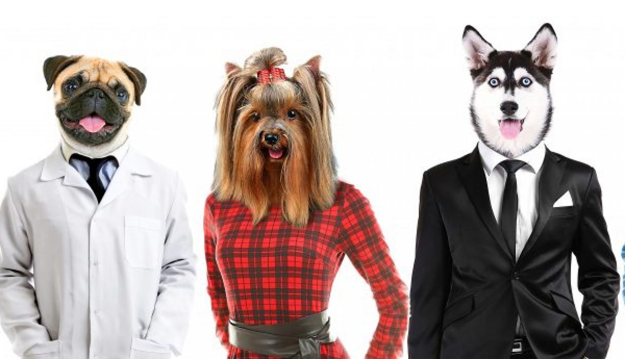 Series,Of,People,With,Animals,Head